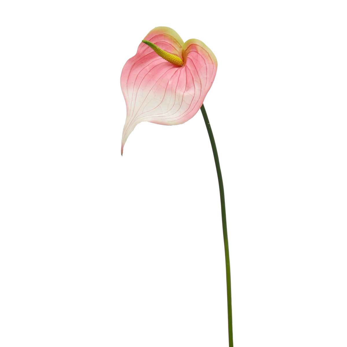 !REAL TOUCH ANTHURIUM 8"X5"X24.25" PINK LARGE